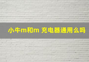 小牛m和m 充电器通用么吗